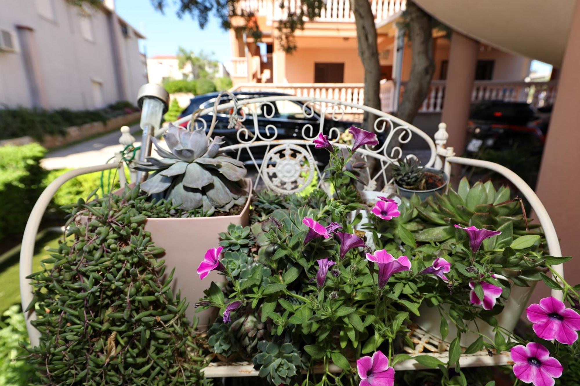 Villa Dalmatino Pakoštane Εξωτερικό φωτογραφία